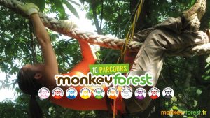 Monkeyforest-arbres-aventures-44