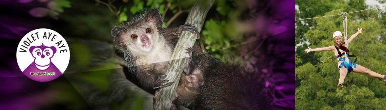 Monkey Forest- Accrobranche 44 - Parc De Loisirs Aventures Avis