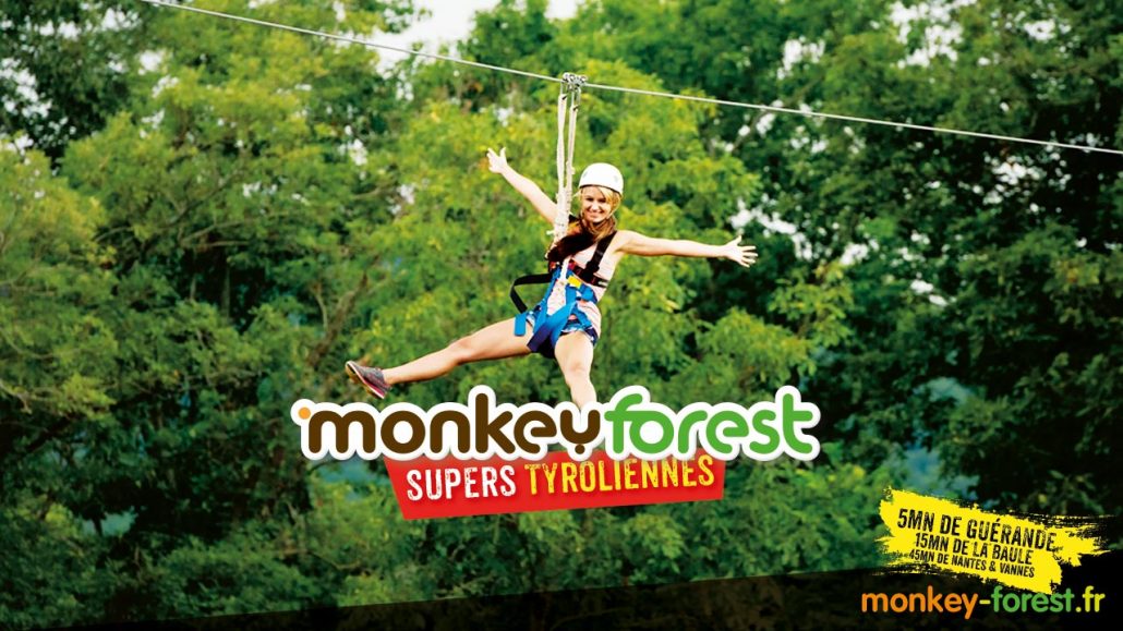 Monkey Forest- Accrobranche 44 - Parc De Loisirs Aventures Avis