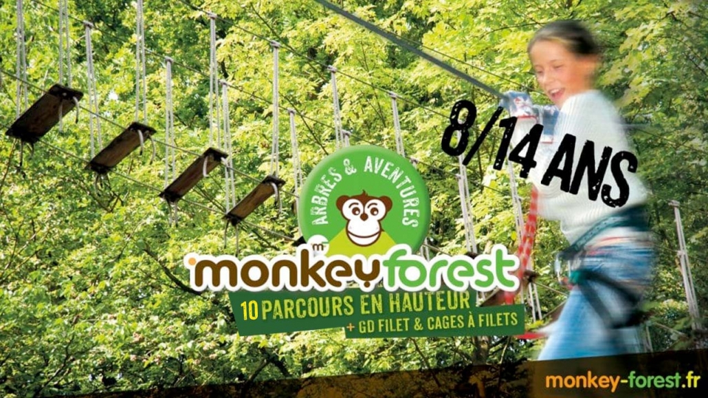 Monkey Forest- Accrobranche 44 - Parc De Loisirs Aventures Avis