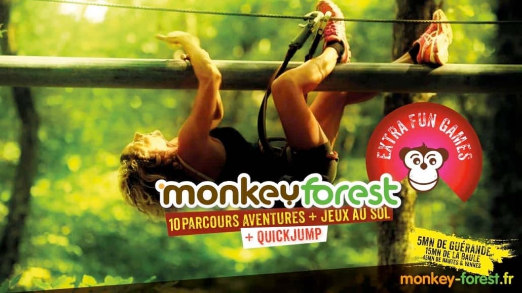 Monkey Forest- Accrobranche 44 - Parc De Loisirs Aventures Avis
