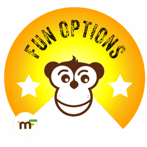 fun-options-loisirs-44350