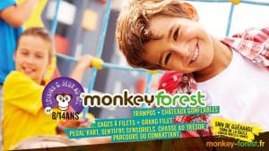 MonkeyForest-jeux-au-sol-8a14ans