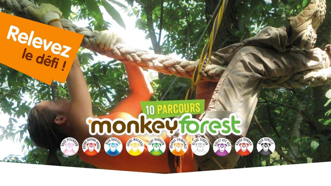 Monkey Forest- Accrobranche 44 - Parc De Loisirs Aventures Avis