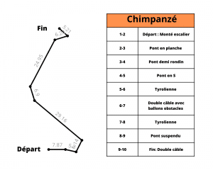 chimpanzé parcours