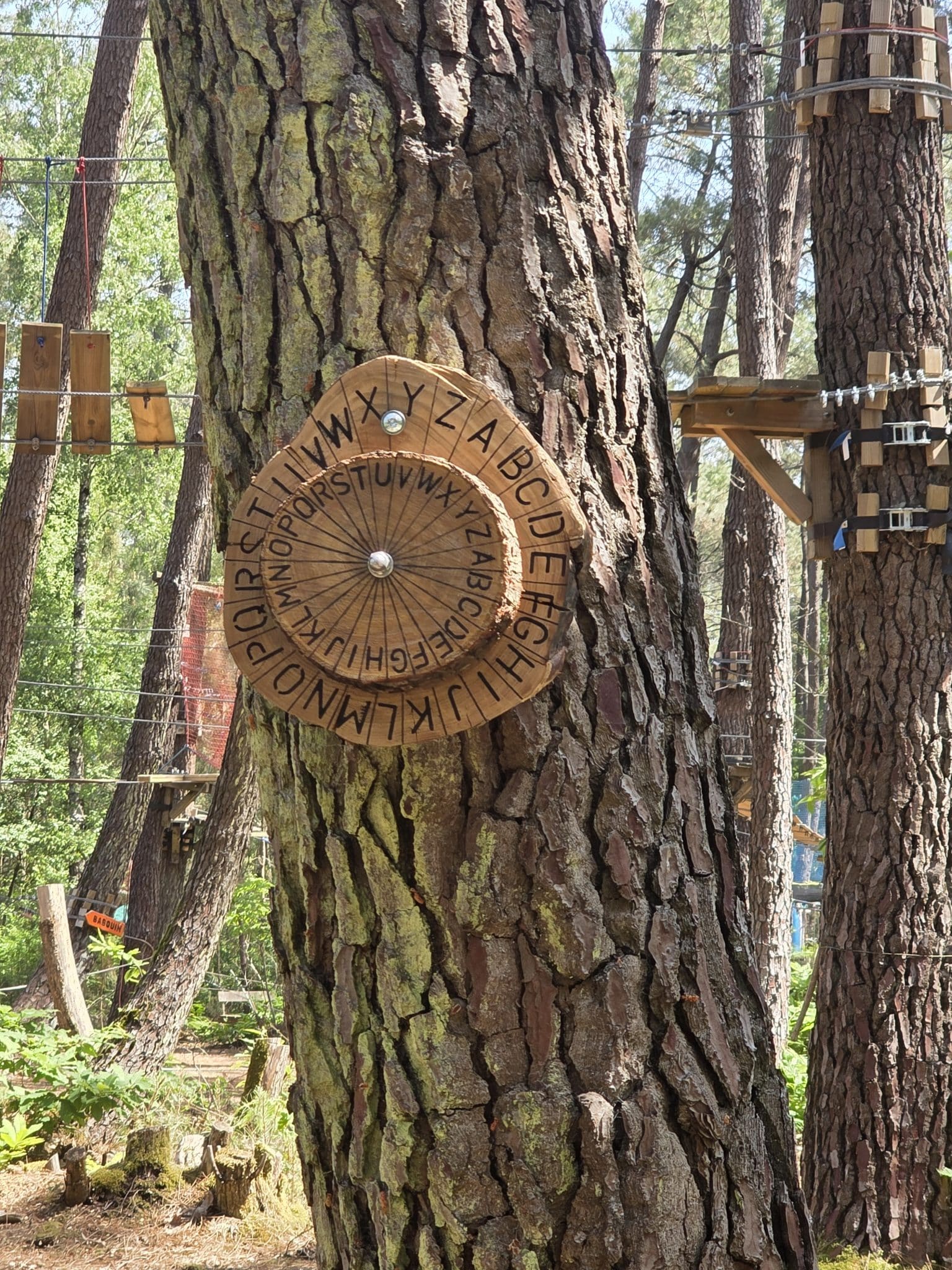 Escape game « La forêt des oubliés »
